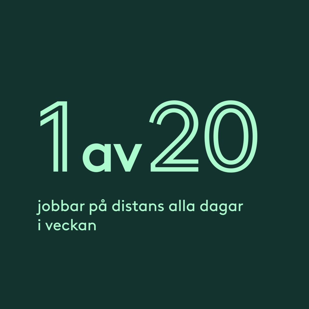 1 av 20 jobbar på distans alla dagar i veckan